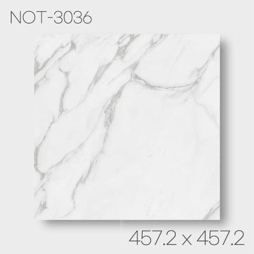 NOT-3036